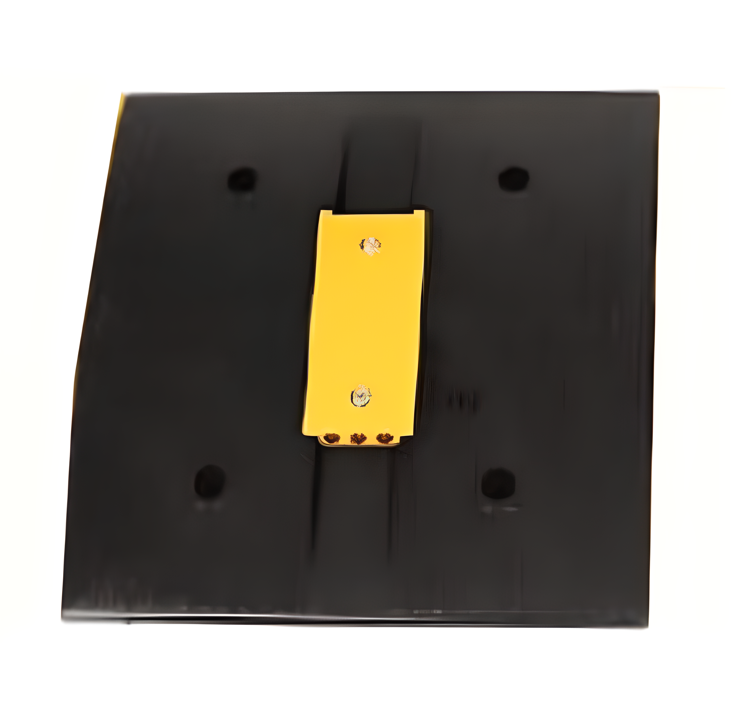 Ralentisseur noir avec yeux de chat